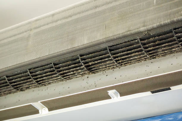 Best Commercial Air Duct Cleaning  in Labarque Creek, MO